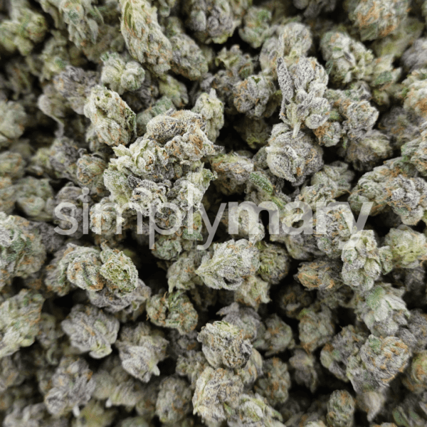 Cap Junky x Purple Push Pop Smalls - Image 3