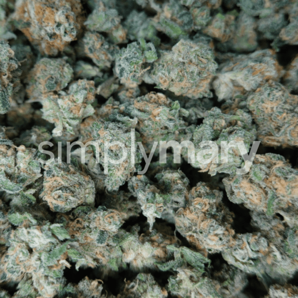 Blue Dream Smalls - Image 3