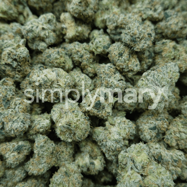 Blue Nerdz Mediums - Image 3