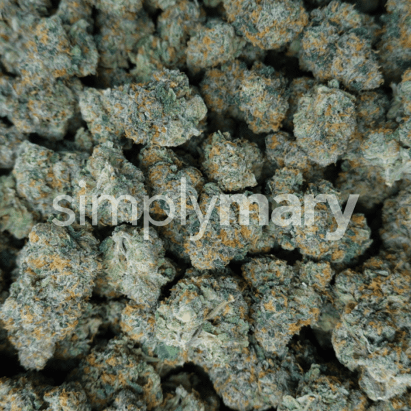 Gelato 41 Mediums - Image 3
