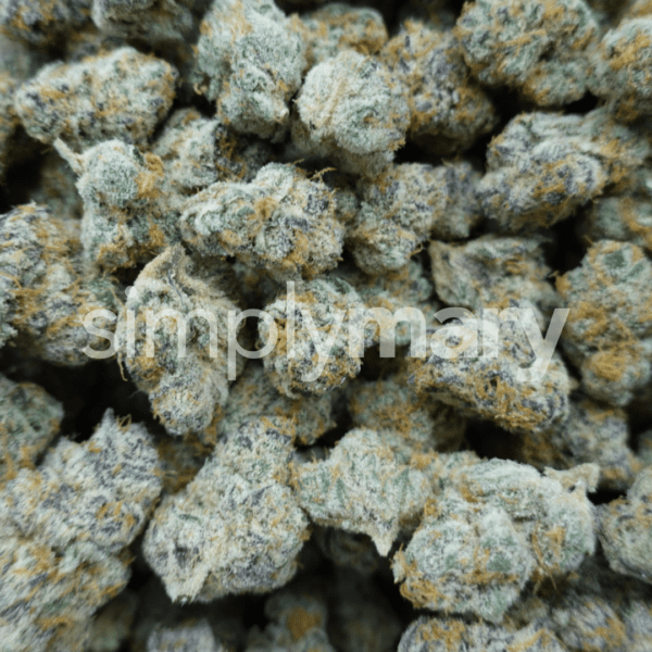 Strawberry Cherry Gelato Mediums - Image 3