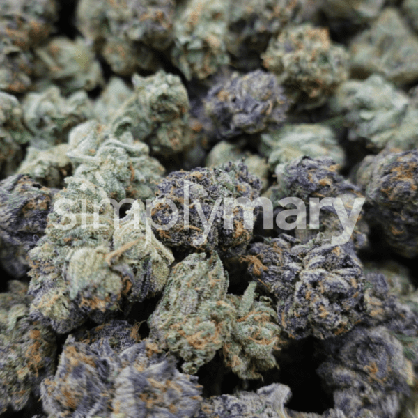 White Runtz Mediums - Image 3
