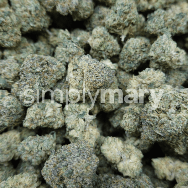 Zangria Mediums - Image 3