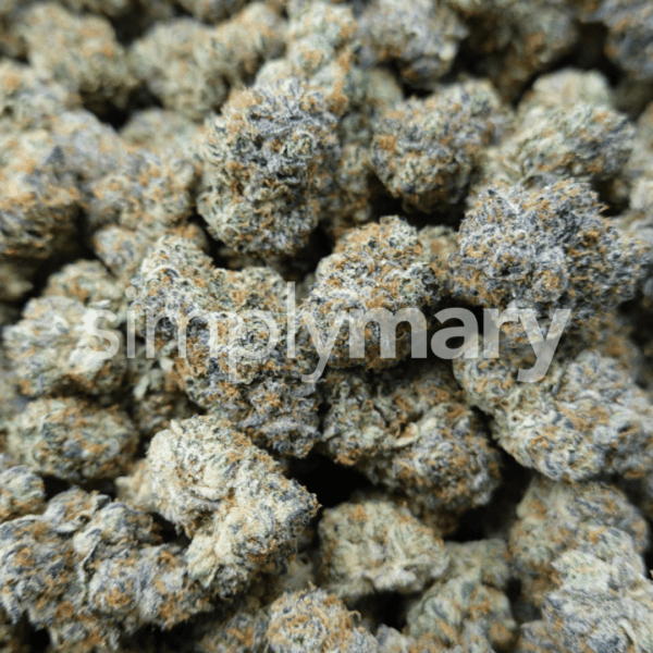 Ztarry Mediums - Image 3
