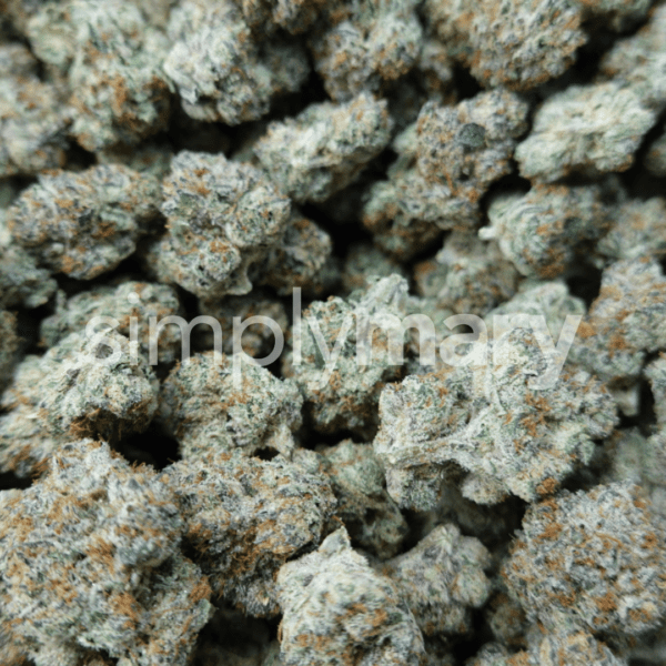 Candy Man Mediums - Image 2
