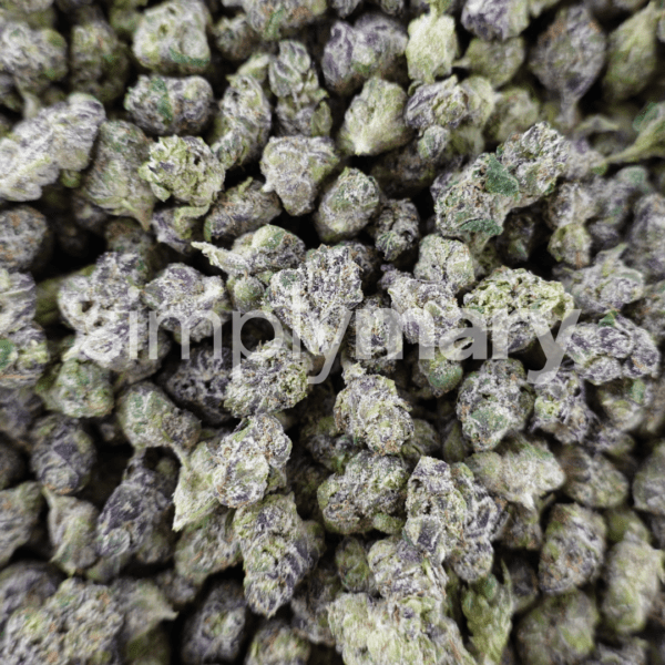 Sugar Tart Smalls - Image 3