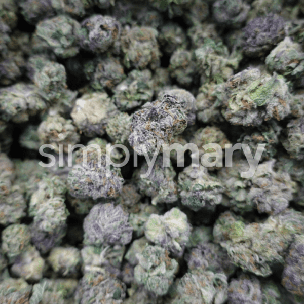Gelato 33 Smalls - Image 3
