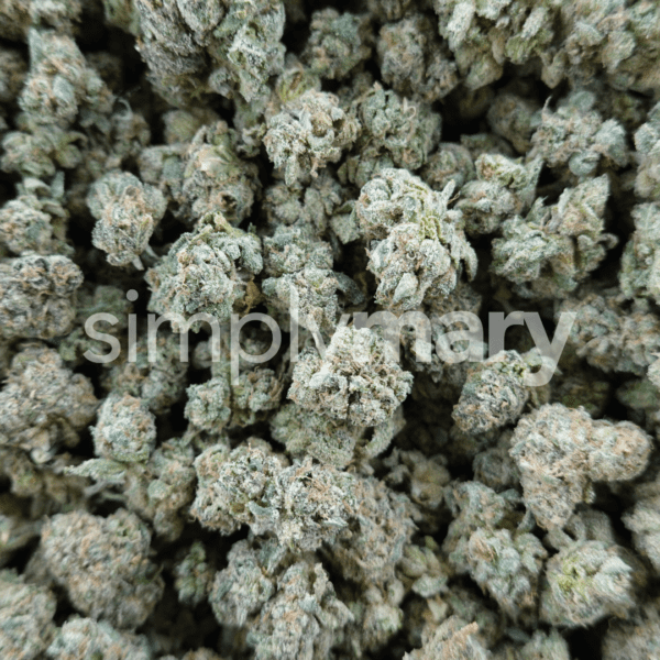 Jokerz Candy Smalls - Image 3