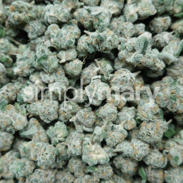 Strawberry Gelato Smalls - Image 3