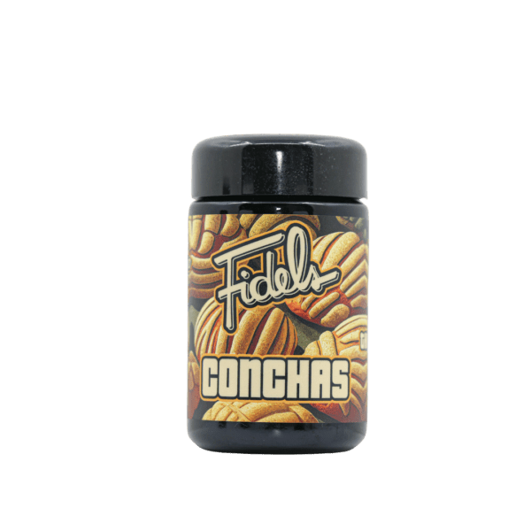 Conchas - Image 2