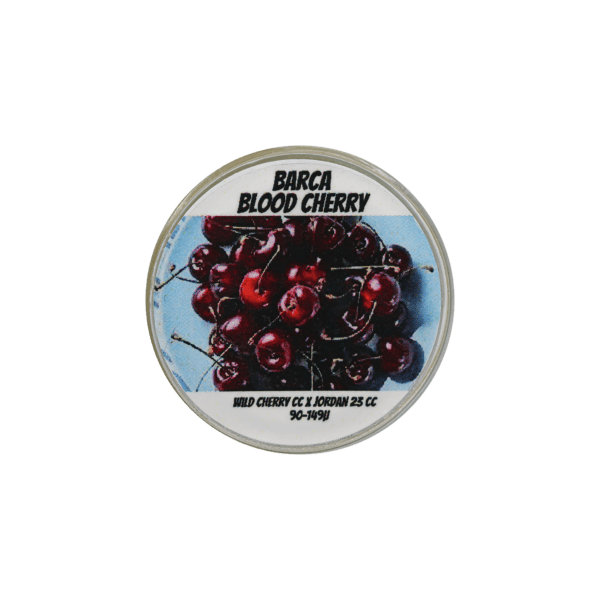 Barca Blood Cherry Thumbprint - Image 3