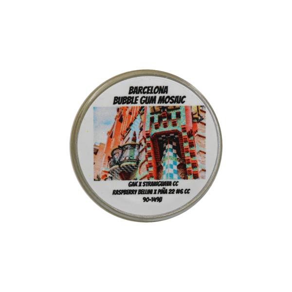 Barcelona Bubble Gum Mosaic Thumbprint - Image 2