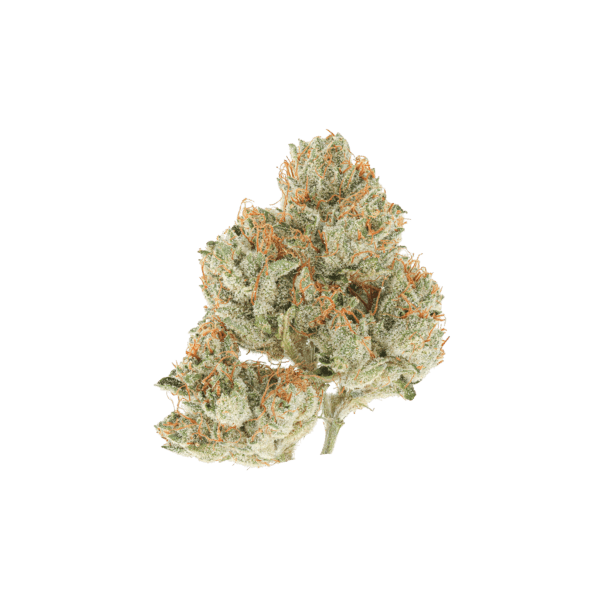 Elephants Growth OG