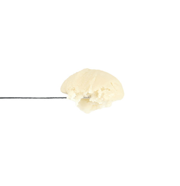 Gak x Orange Mintz Rosin