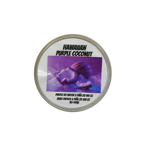 Hawaiian Purple Coconut Thumbprint - Image 2