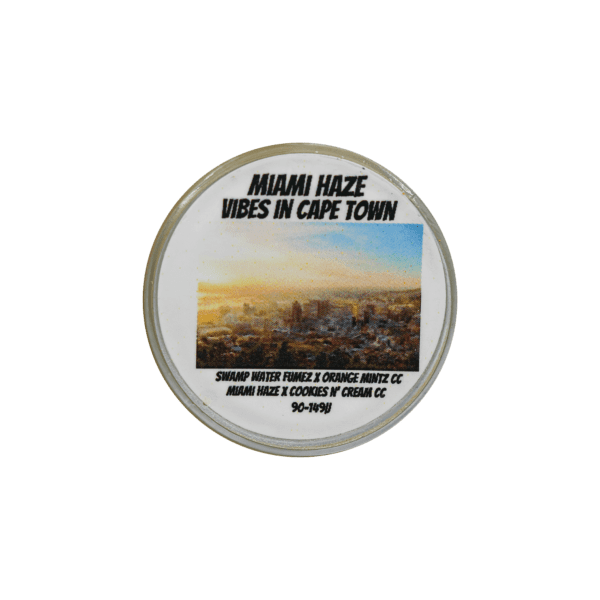 Miami Haze Vibes in Cape Town Thumbprint - Image 2