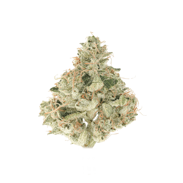 Sour Melons #14