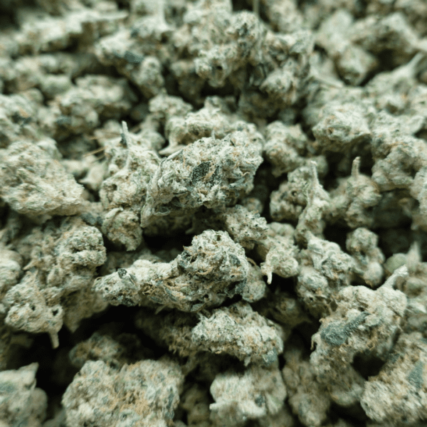 Alien OG Smalls - Image 2