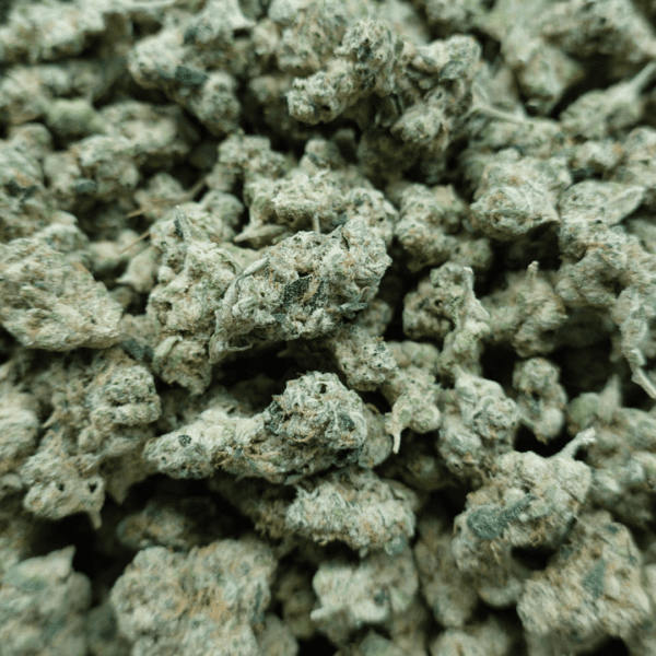 Alien OG Smalls - Image 3