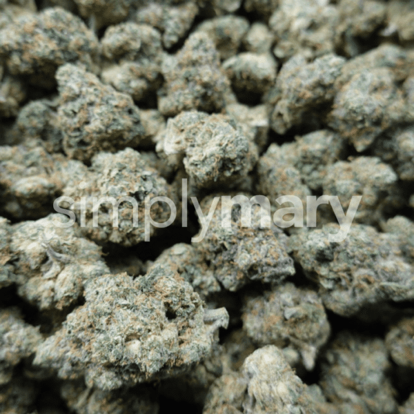 Z3 Mediums - Image 3