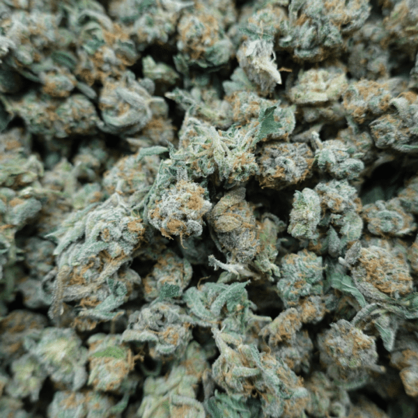 Strawberry Zkillato Smalls - Image 3
