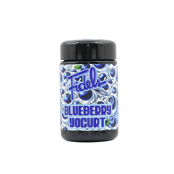 Blueberry Yogurt - Image 3