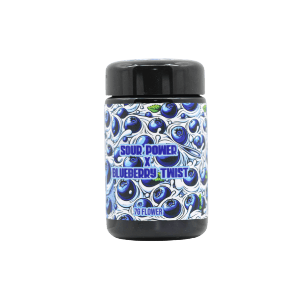 Blueberry Yogurt - Image 4