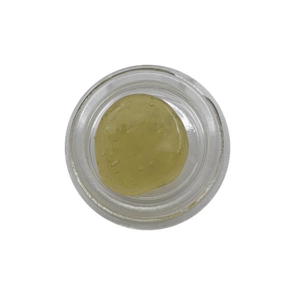 GAK Melon Fresh Press