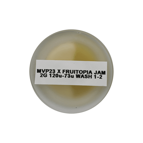 MVP23 x Fruitopia Thumbprint - Image 3