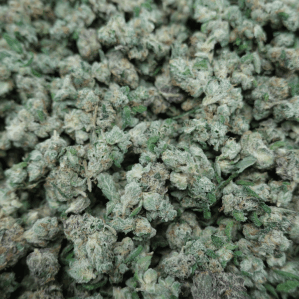 Zour Smalls - Image 2