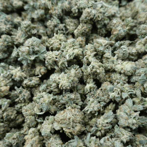 Gorilla Glue #4 Smalls - Image 2