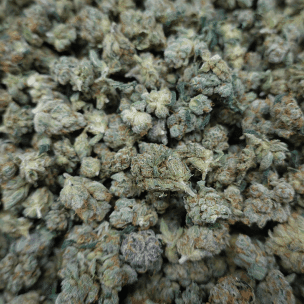 Skywalker OG Smalls - Image 3