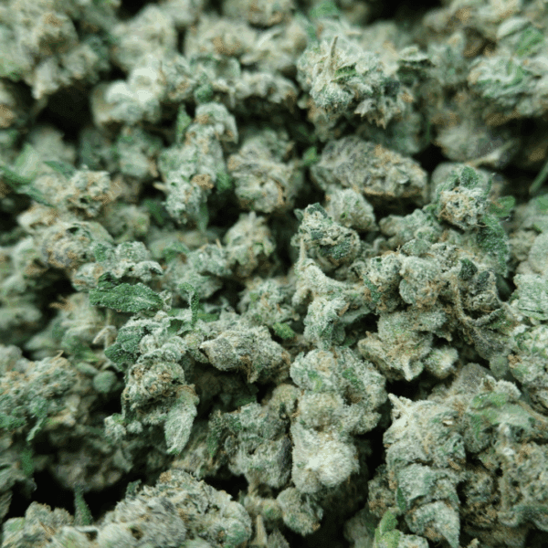 Zour Smalls - Image 3