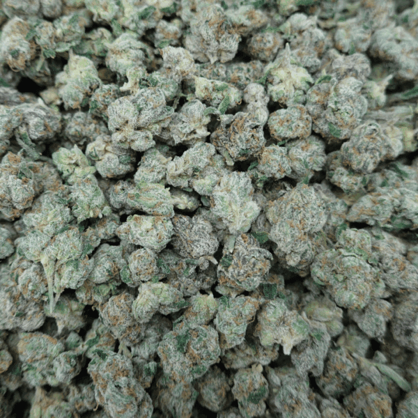 LCG Smalls - Image 3