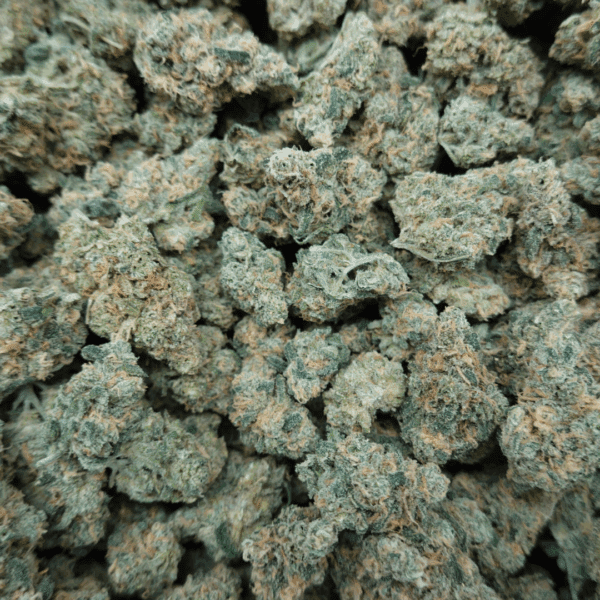 Blue Dream Mediums - Image 3