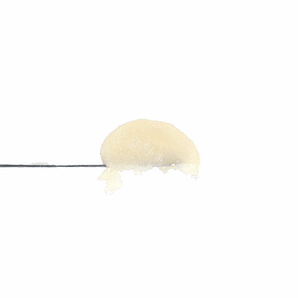 Animal Tsunami Rosin