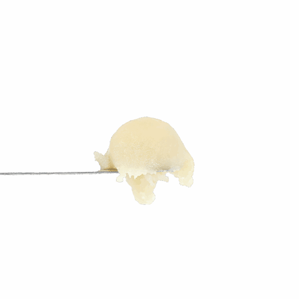 Donkey Kick Rosin
