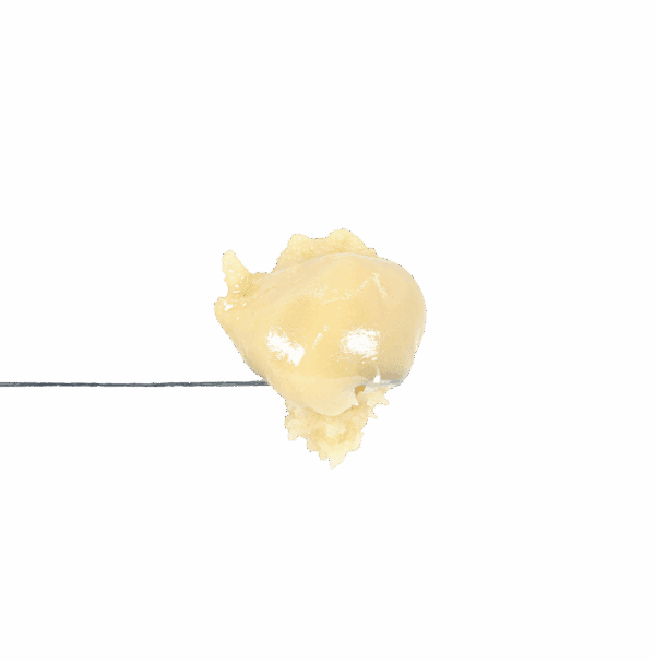 Gak Melon Rosin