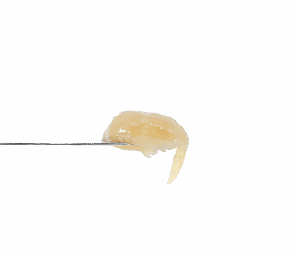 Grape Pie Rosin