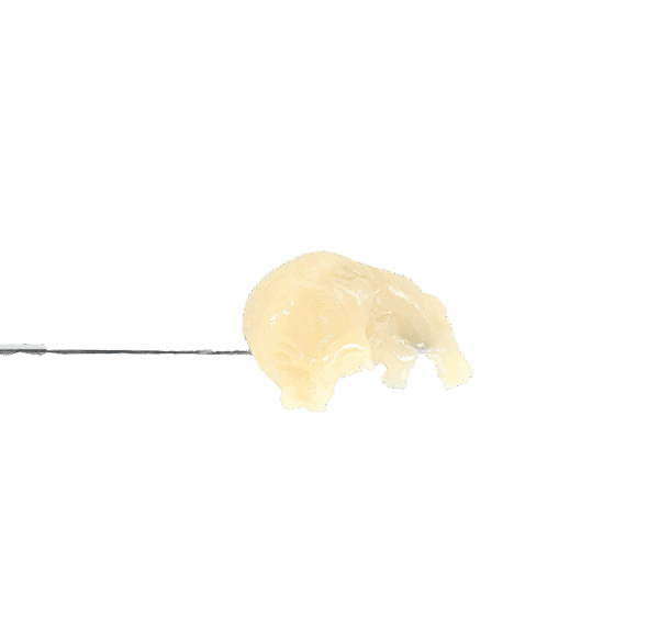 VVS Gummies Rosin