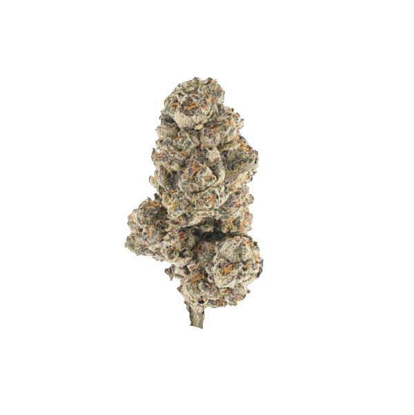 Honey Comb Pave