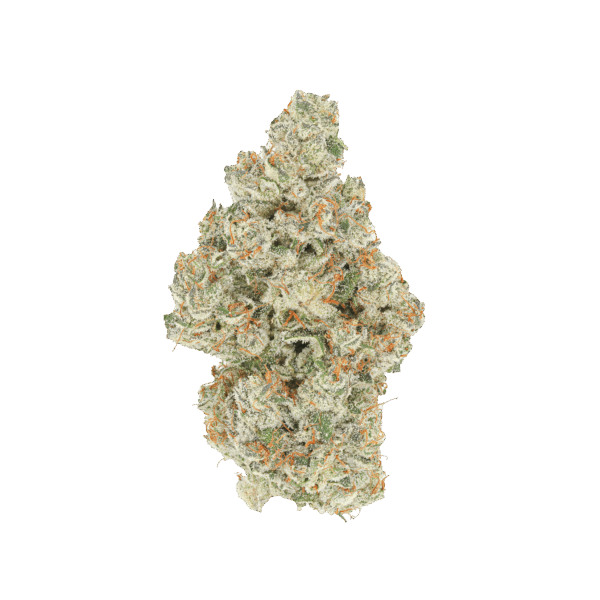 IYKYK #1