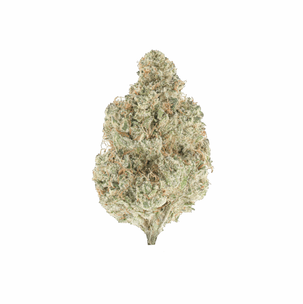 Moon Pie