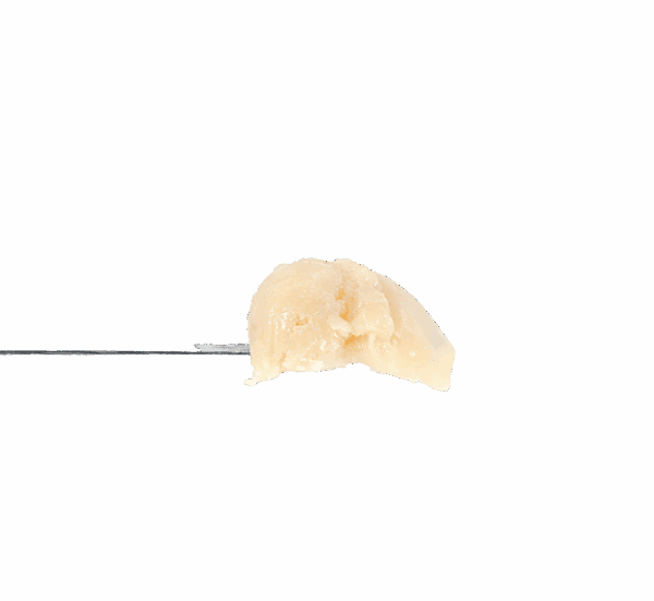 Moroccan Peach x Wilson Rosin