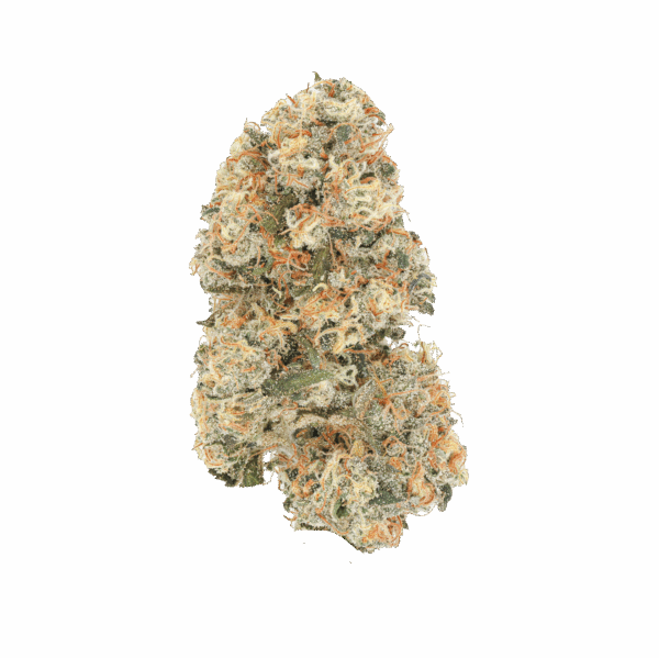 SherbZ