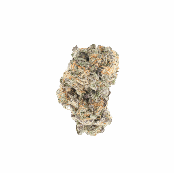 Tropaya