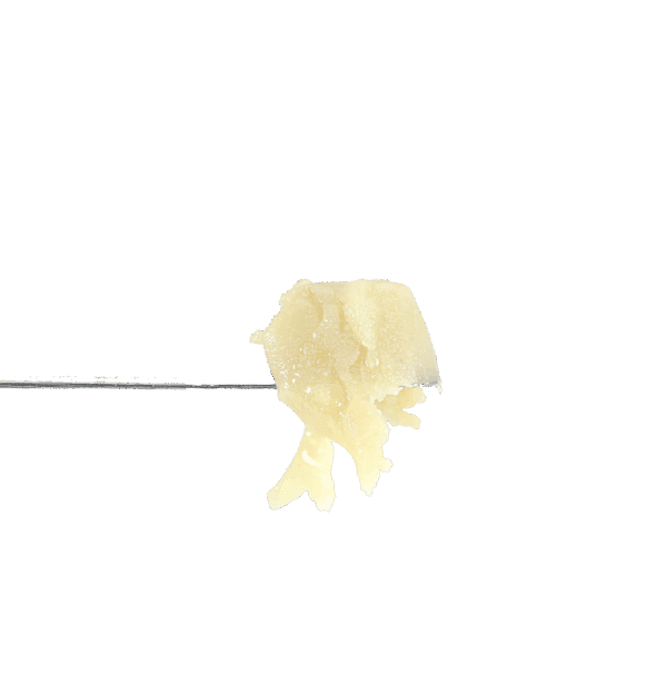 Z Foam Rosin