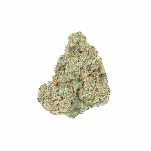 Zcorpion