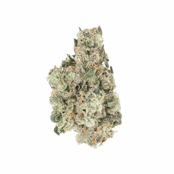 Zour