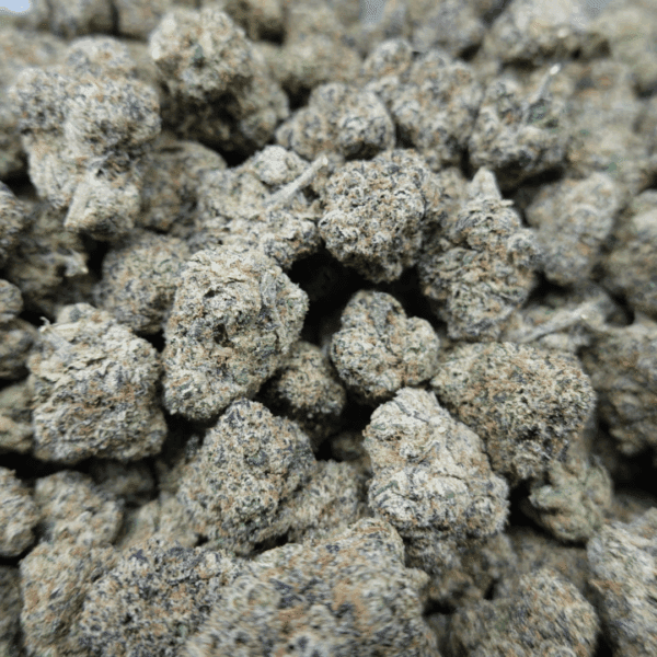 Gum Drop Mediums - Image 3